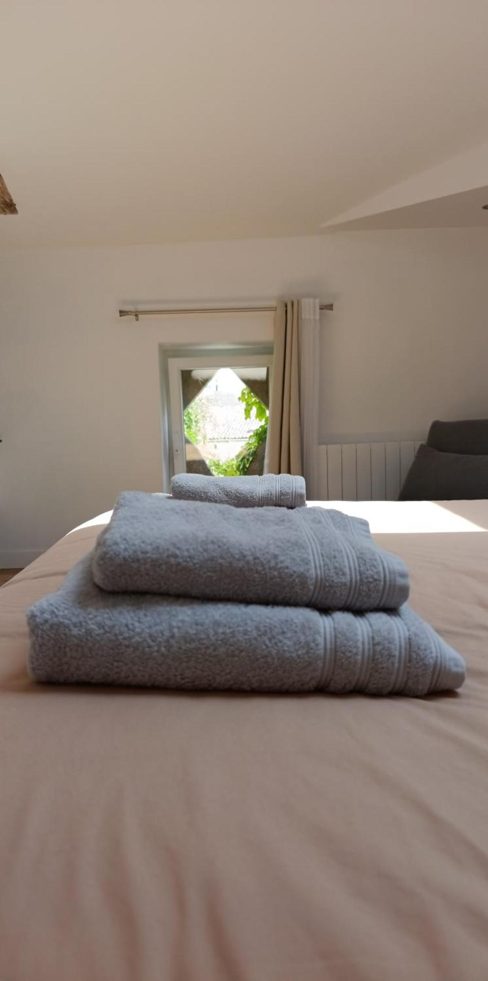 Maison Irondas Saint-Pierre-d'Aurillac 외부 사진